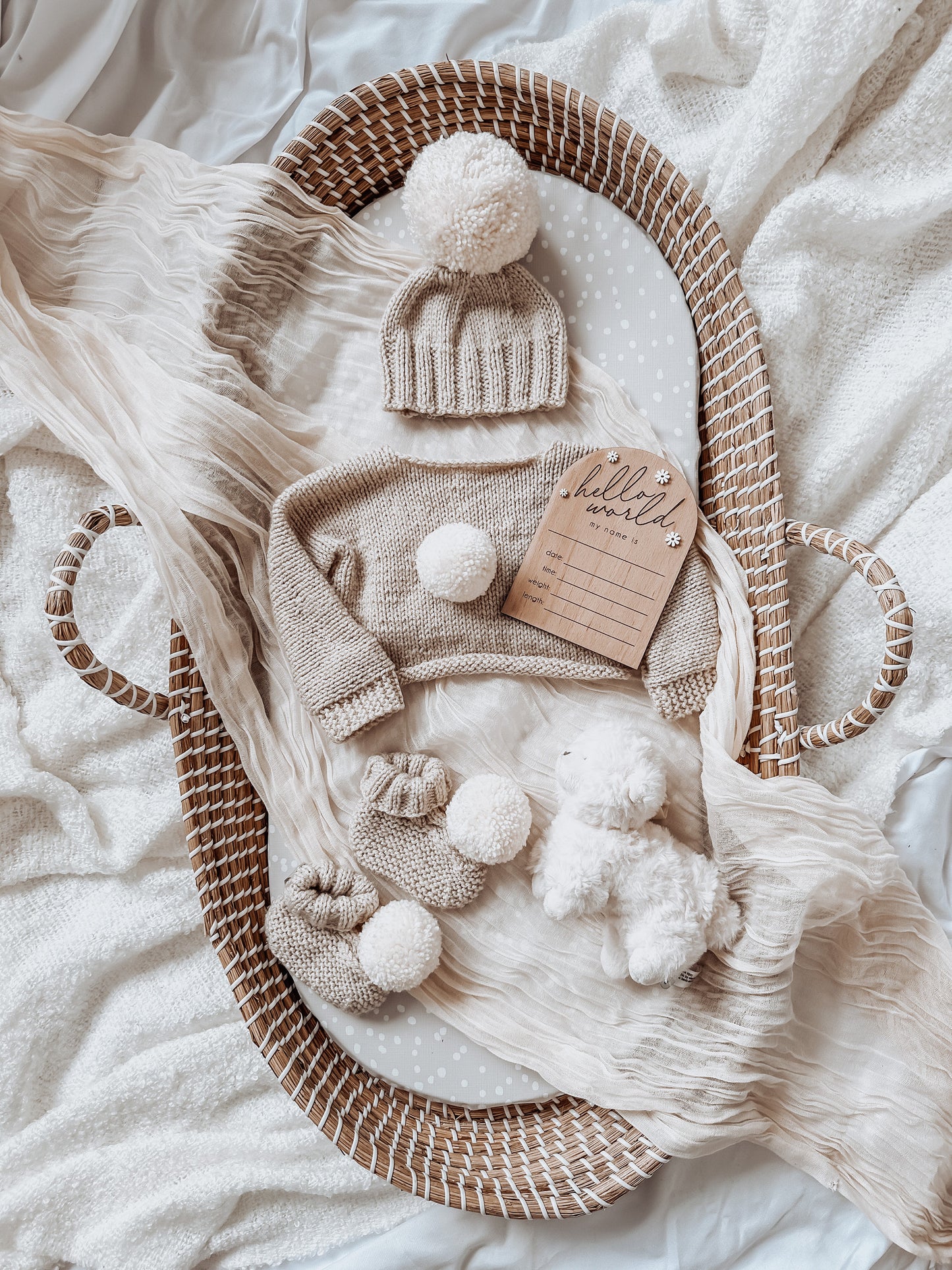 Wooden Daisy Hello World Baby Plaque